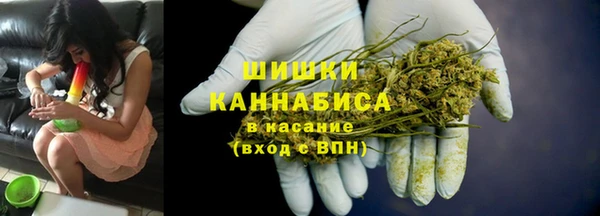 гидра Михайловка