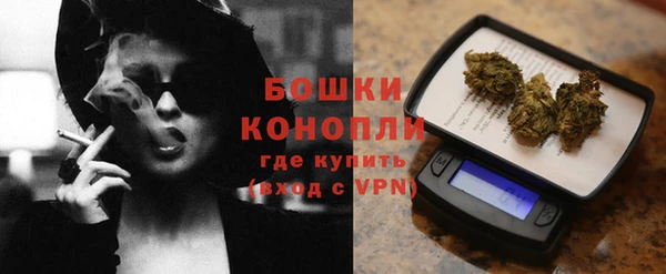 хмурый Арсеньев