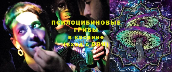 PSILOCYBIN Алзамай