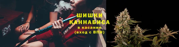 хмурый Арсеньев