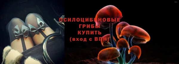 СК Аркадак