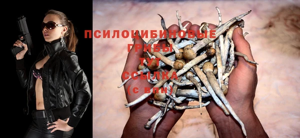 PSILOCYBIN Алзамай